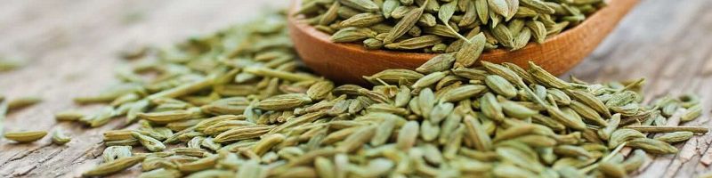 فواید رازیانه