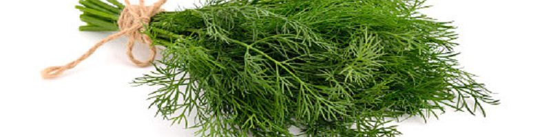 یک دسته شوید که یا نخ کنافی بسته شده است.